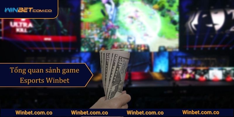 Giới thiệu tổng quan sảnh game Esports Winbet