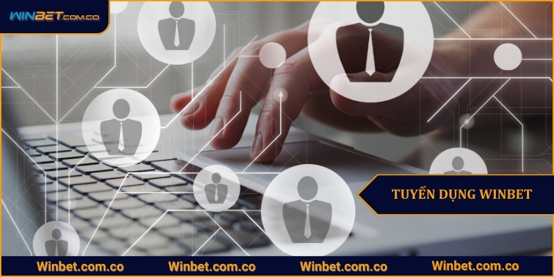 Tuyển Dụng Winbet